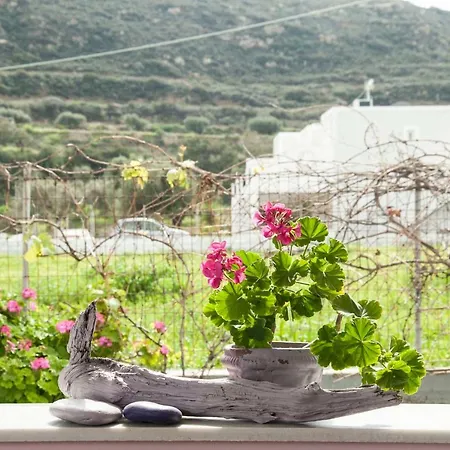 Brezza * Karpathos Town (Pigadia)